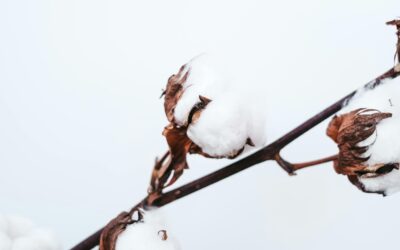 Cuidar la piel no siempre es hacer más, sino hacerlo mejor.